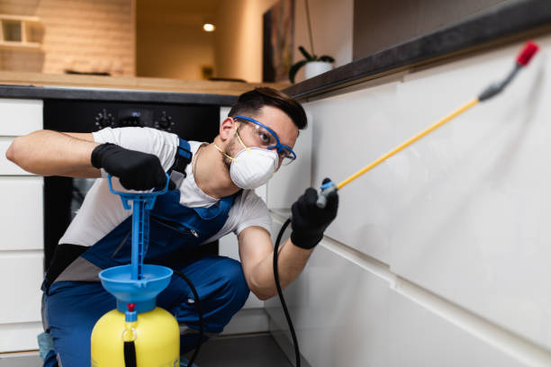 Best Cockroach Control Services  in Indian Hills, NM