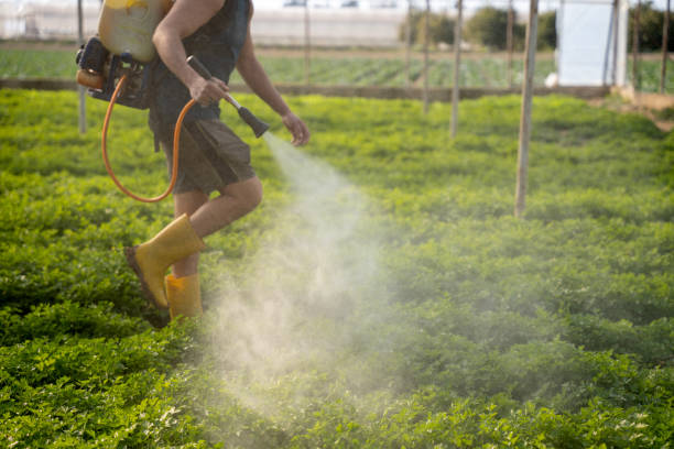 Professional Pest Control in Indian Hills, NM