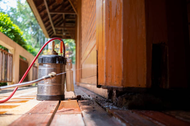 Best Local Pest Control Services  in Indian Hills, NM